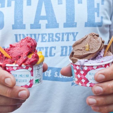 Jaký byl poslední Street Food Festival na pražském Žižkově?